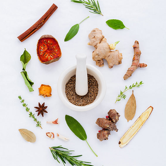 /blogs/our-blog/when-is-it-safe-to-introduce-herbs-spices-in-baby-food